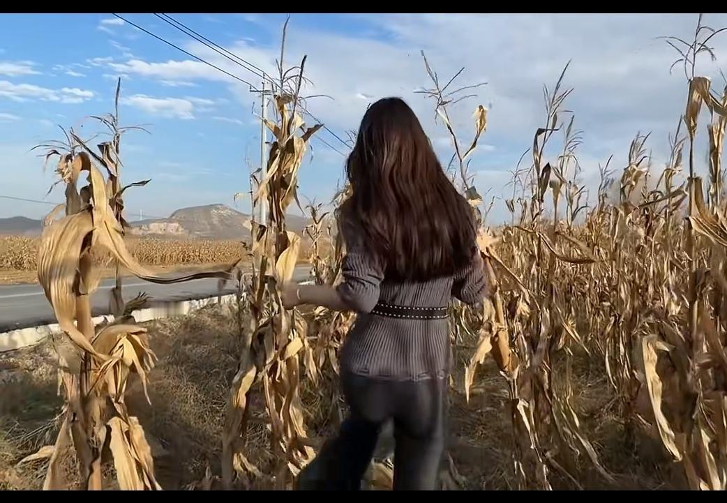 高梁红，玉米黄，庄稼地里寻新娘。天空蓝，河水清，找了媳妇忘娘亲。