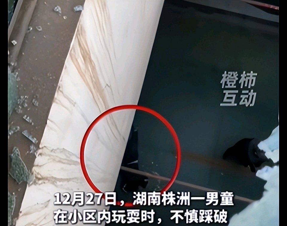 12月27日，湖南株洲提香蓝岸小区发生了一件让人揪心的事。一个男童在小区花园玩耍