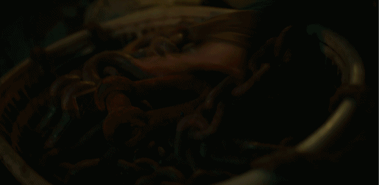 我的评分：[星星][星星][星星][星星][星星]高叶这一下给我砸通畅了 网剧重