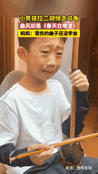 不厚道的笑了！辽宁沈阳，男孩家里养的小乌龟偷吃鱼时噎死了，孩子得知后伤心不已，本