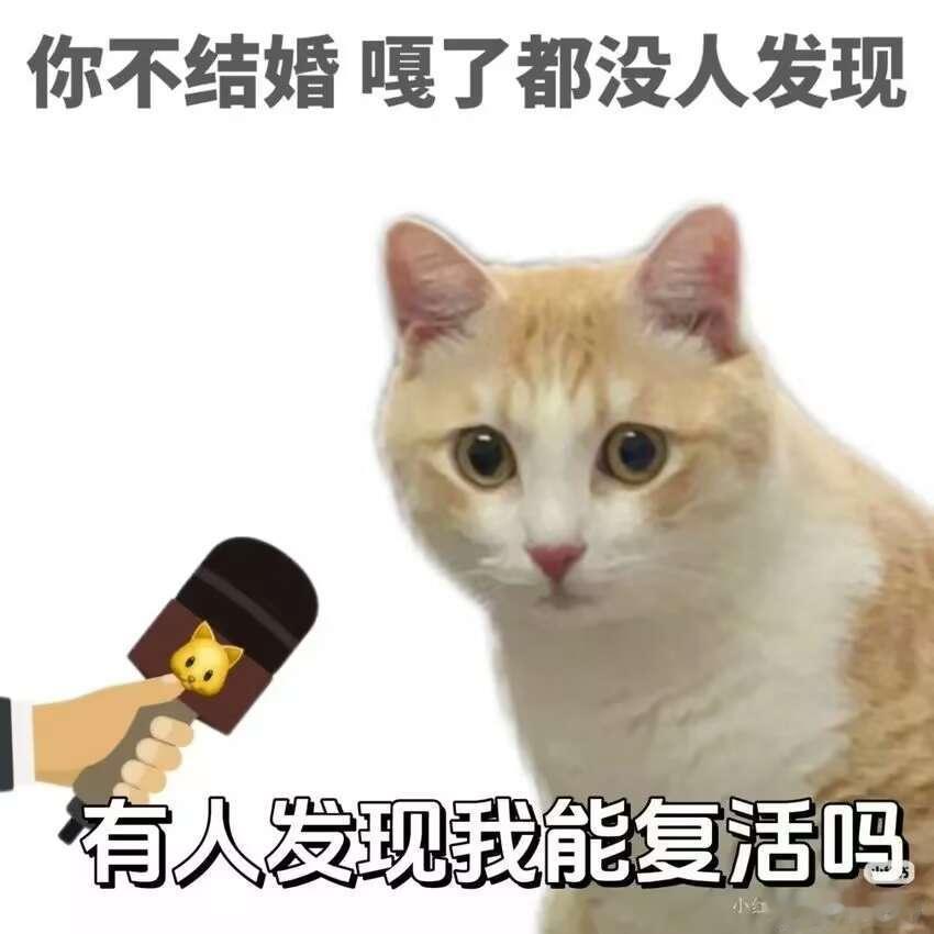 沈阳的小伙伴正在4S吵架，因为车泡水了但保险坚持要修、就是不愿意给走全损。好像沈