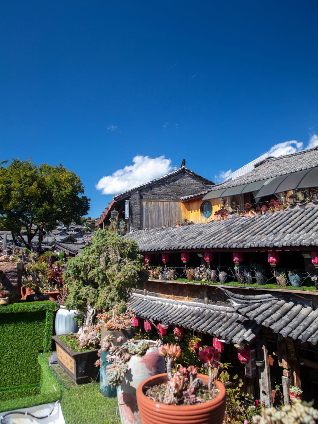 去云南曲靖待了五天，这小城没大理丽江的名气，却凭着三个超鲜明的印象，让我回来还念