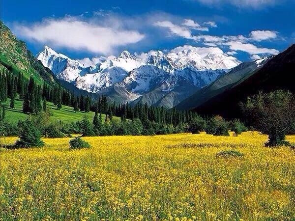 每走一步都是人间仙境——伊犁1⃣️昭苏—油菜花；2⃣️果子沟—伊犁第一景；3⃣️
