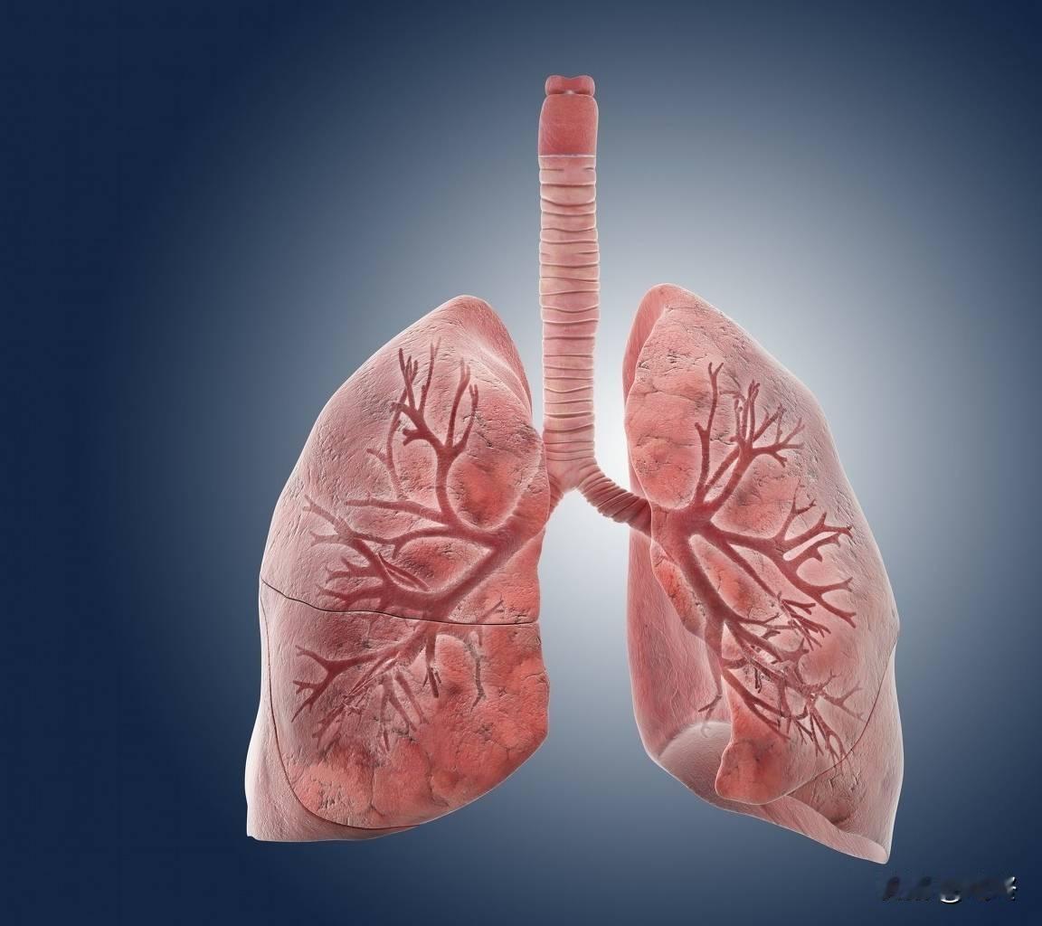 这四个症状反复出现？别硬扛！四个部位建议定期检查，早筛早安心！咱平时身体有点小