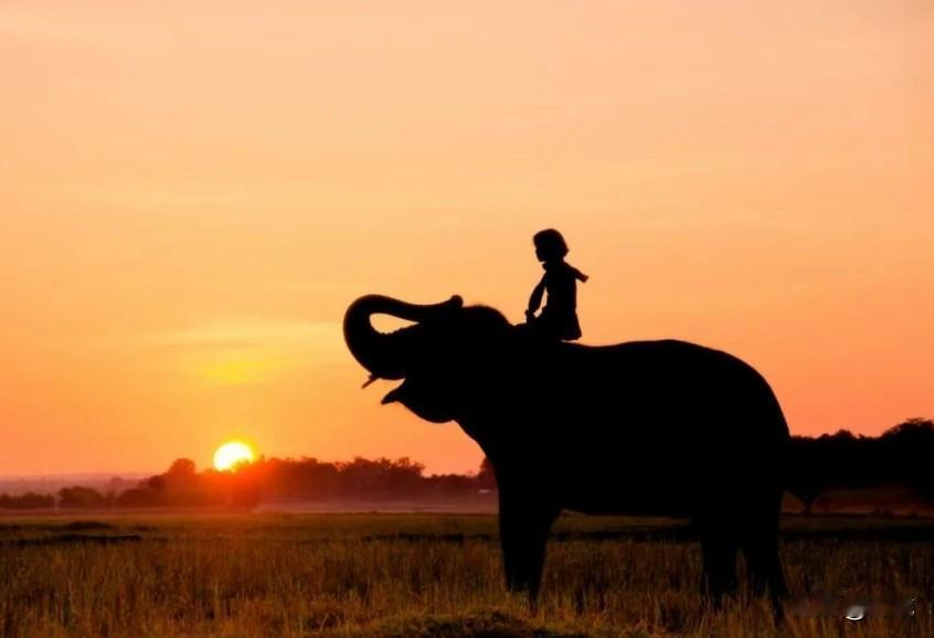 现在的家长很容易陷入一种焦虑：只要看到孩子没在学习，而是发呆、磨蹭、东晃西摸，就