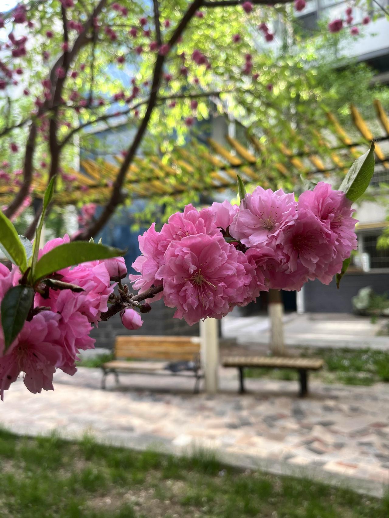 千万不能以貌取人1、退休后在一家宾馆打工，和我交接班的小王，每次下班的时候，