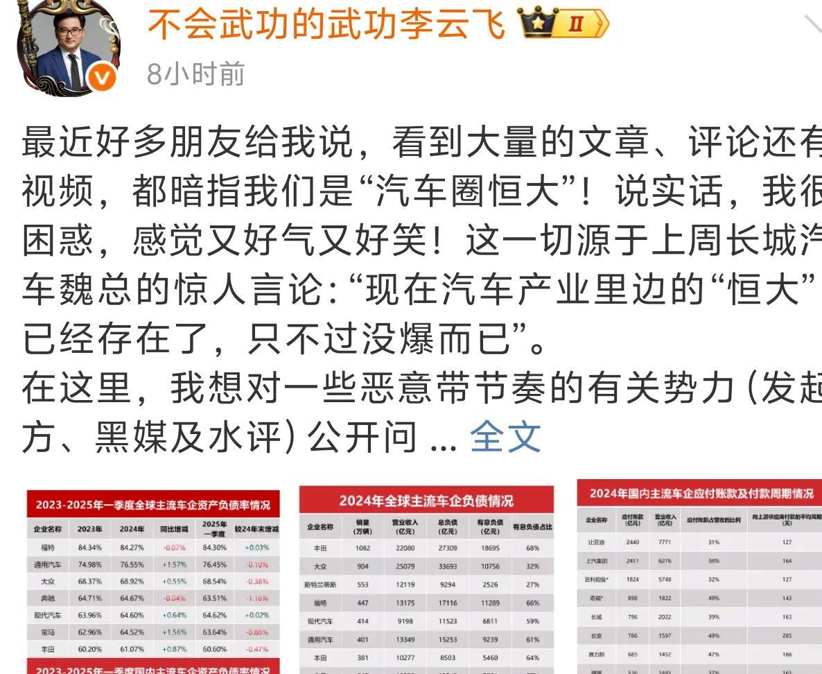 让你们别去黑比亚迪的负债不听非得逼得比亚迪公关把数据都公布出来好了这样大家都