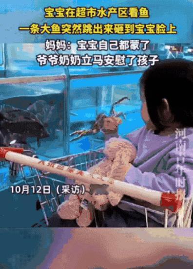 “笑不活了！”河南，宝宝在超市水产区看鱼，突然，一条大黑鱼跳出水缸，“啪”地一