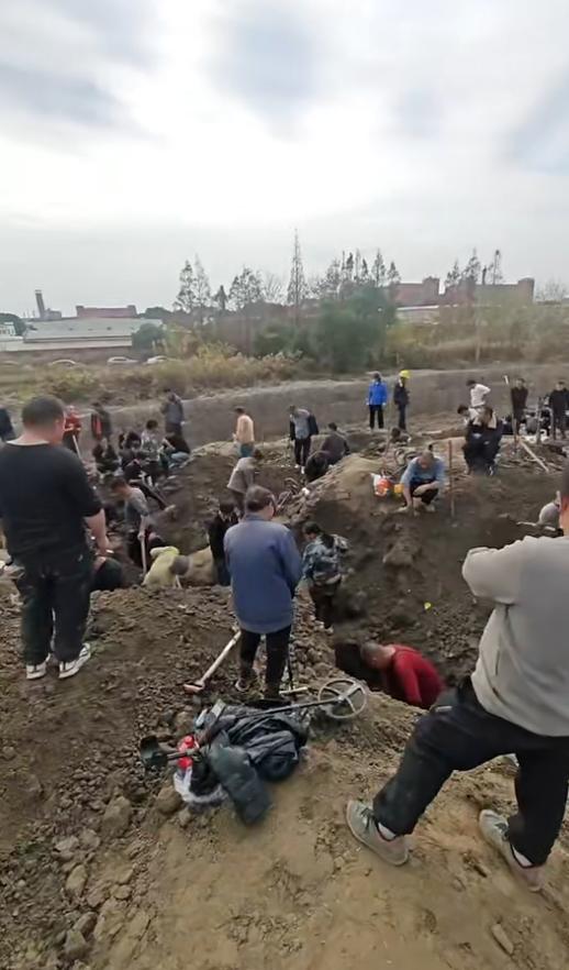上海车墩镇现“挖宝潮”：深夜探宝忙，文物岂能私挖？一则“挖银元”的消息