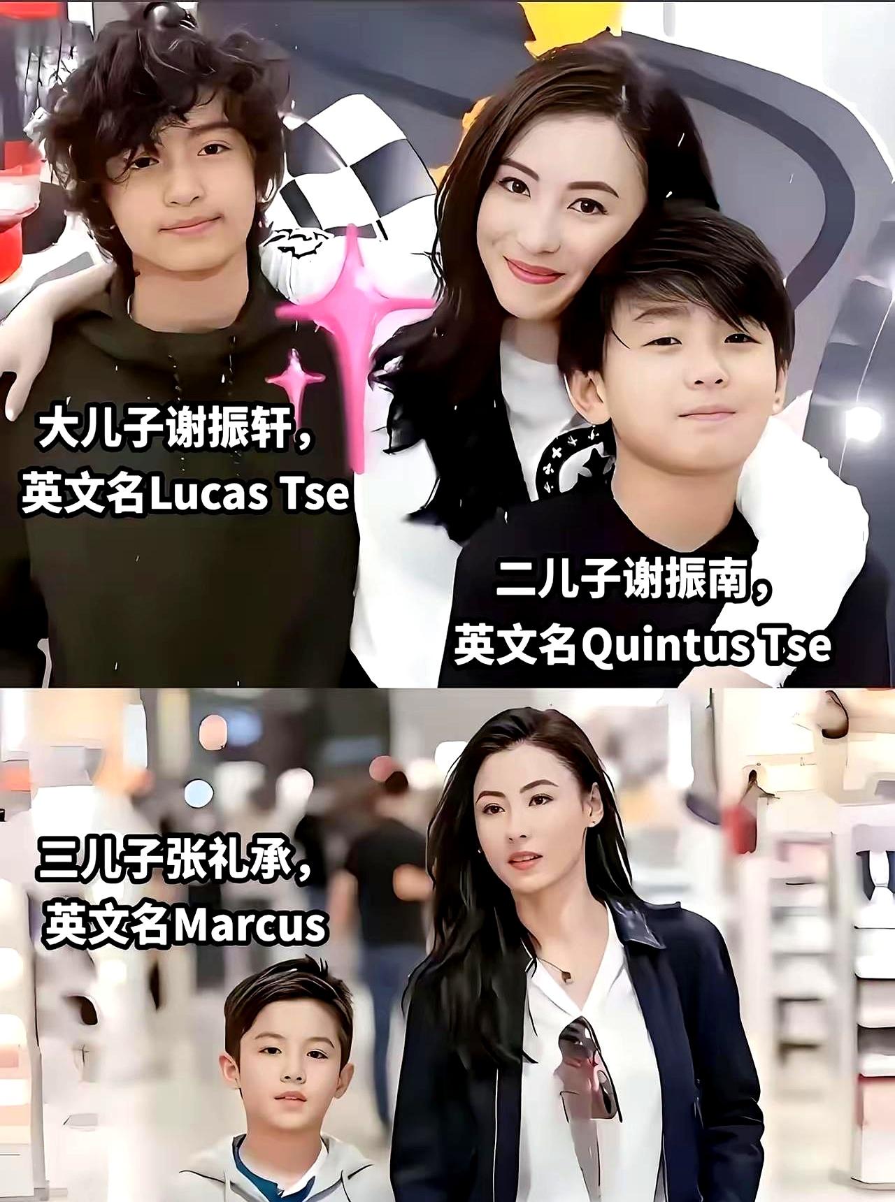 传了整整8年的离谱大瓜，居然被一份价值一个多亿的遗嘱给干碎了？张柏芝三胎儿子的