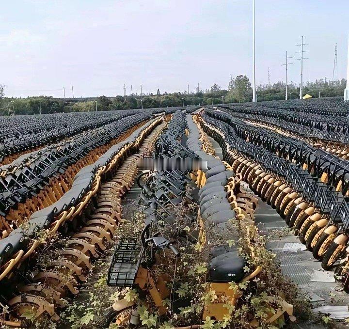 共享单车荒废长草，为什么不送给贫困山区的人用呢？