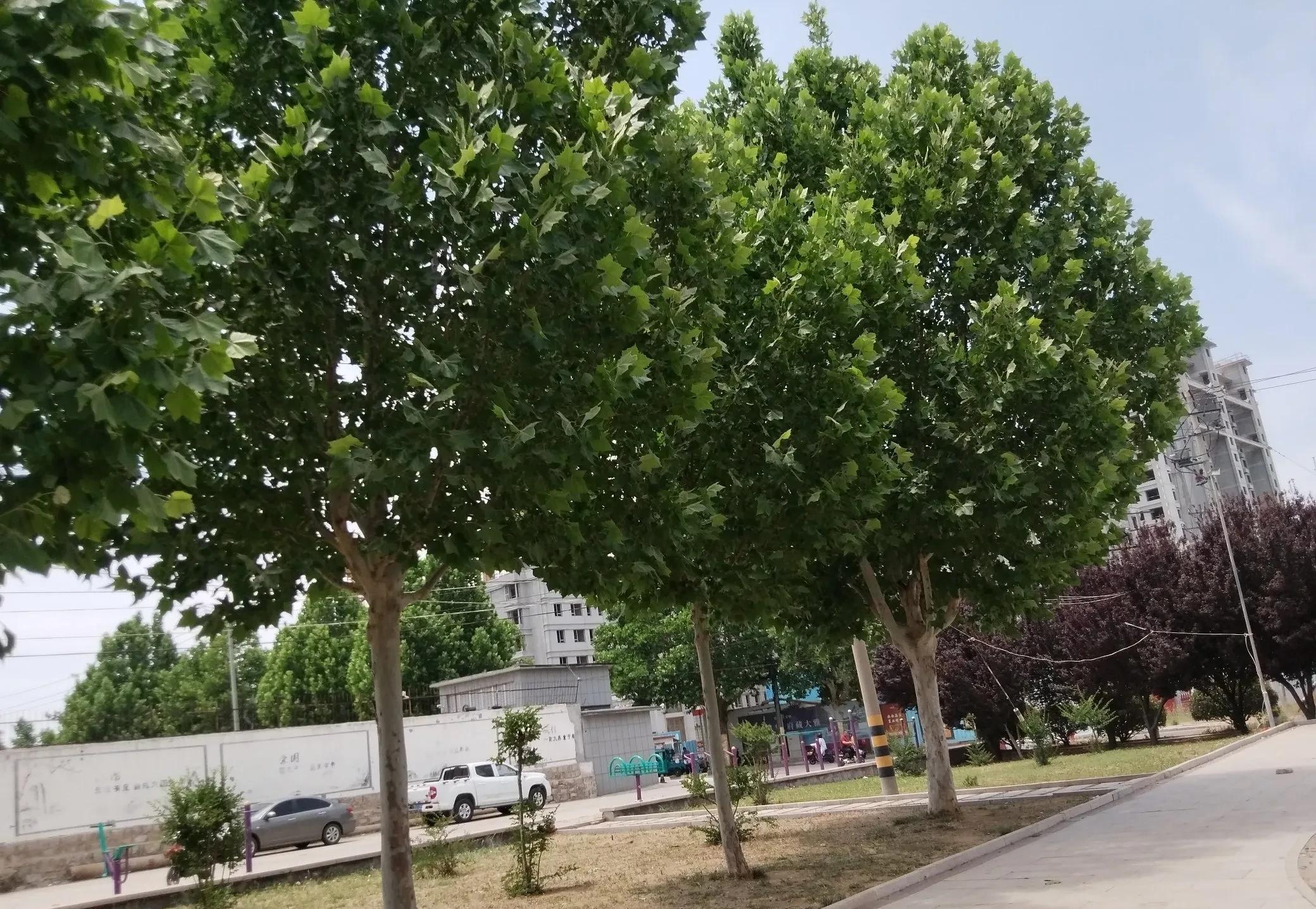 我一生嫁过两个男人，都特别小气。回顾过往，我发现婚姻的失败，很大程度上源