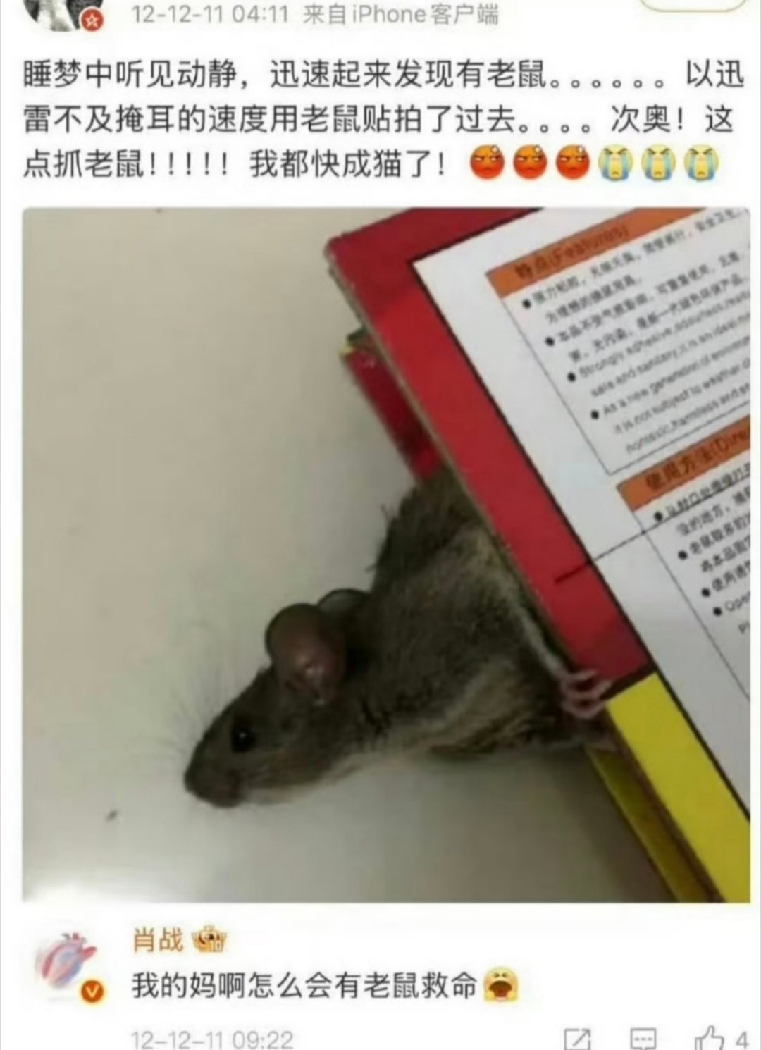 老鼠滚出地球！！！！😖​​​