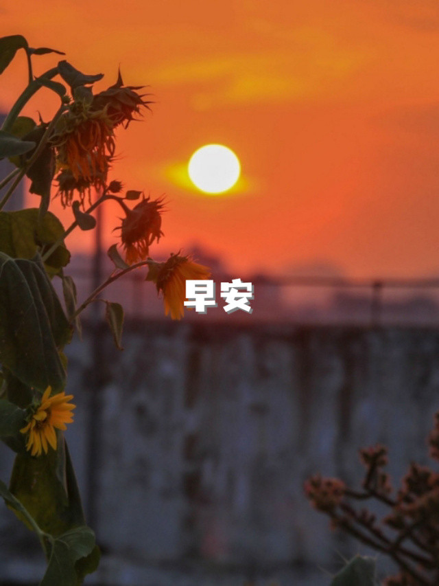 新日启程，不慌不忙，向阳而生、逐光而行，早安！