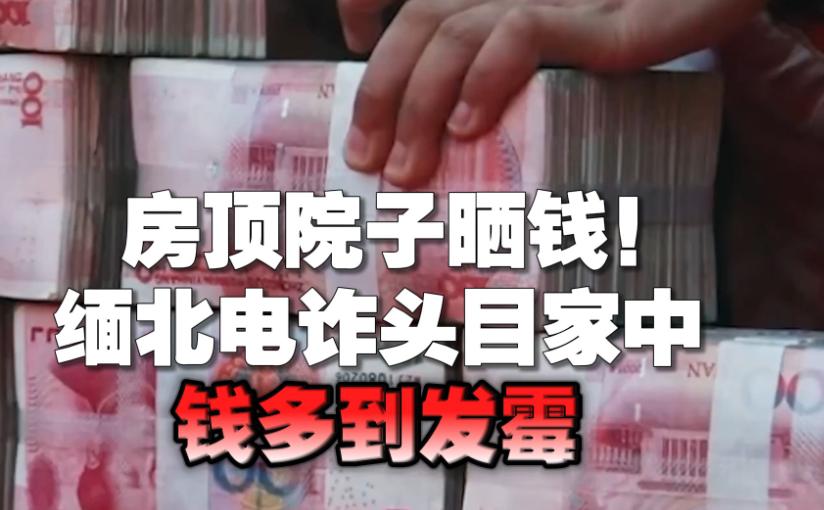缅北那些搞电信诈骗的头目，钱多得没地方放，只能摊到房顶和院子里去晒，免得发霉。这