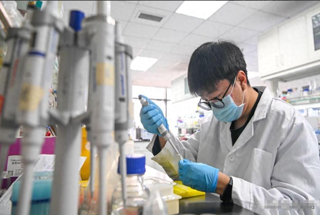 比芯片封锁更隐蔽，英语和SCI双重筛选，正在吞掉中国人才红利中国SCI论
