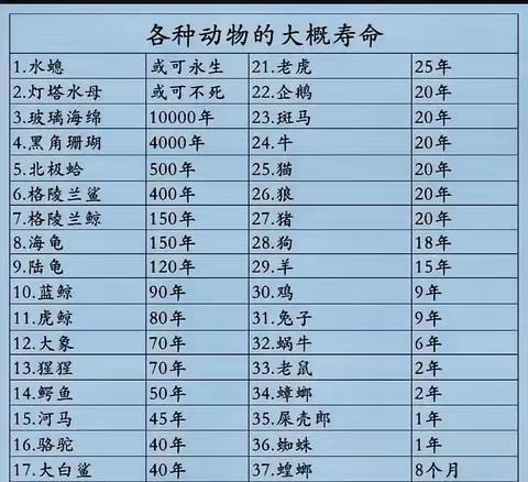 突然觉得人人喊打的老鼠有点可怜[捂脸哭]。