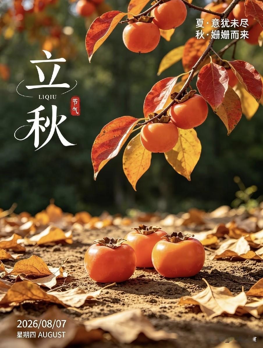 "最怕立秋是晴天"，今日立秋，立秋天晴有什么预兆？今日迎来二十四节气中的第