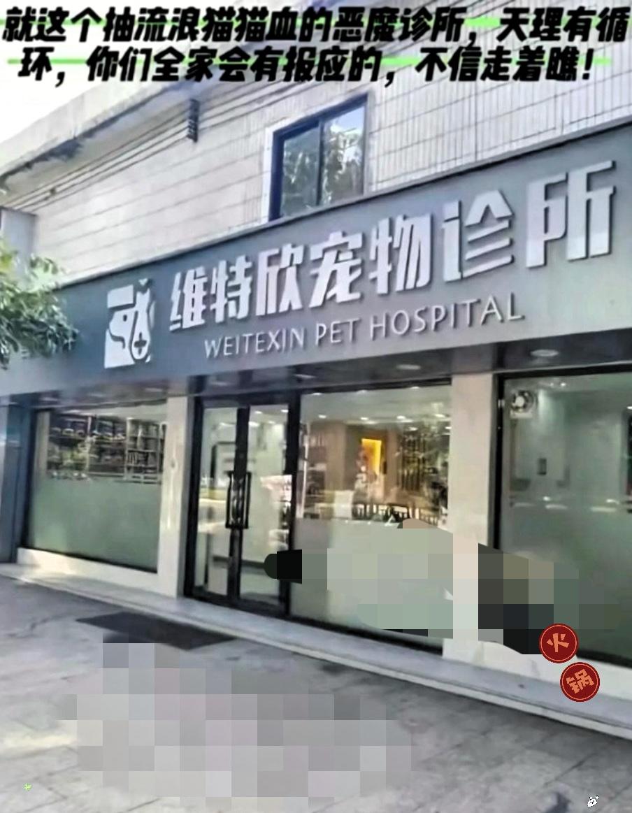 狸花是被火腿肠骗去把血抽干,到死都没吃上那根要命的火腿肠!