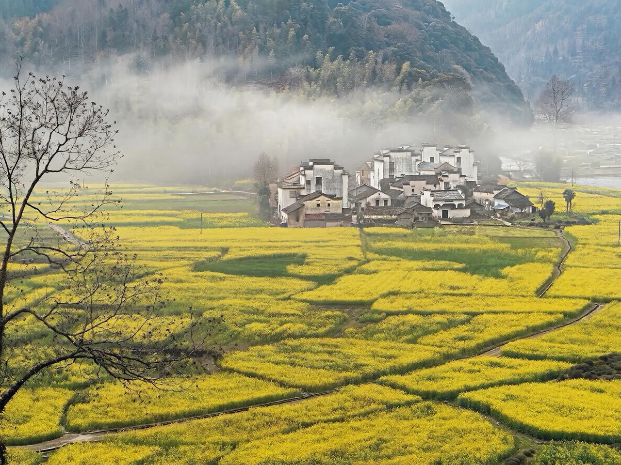 我有个朋友，夫妻俩都极为出色，均毕业于重点大学，是研究生学历，工作单位也相当不错