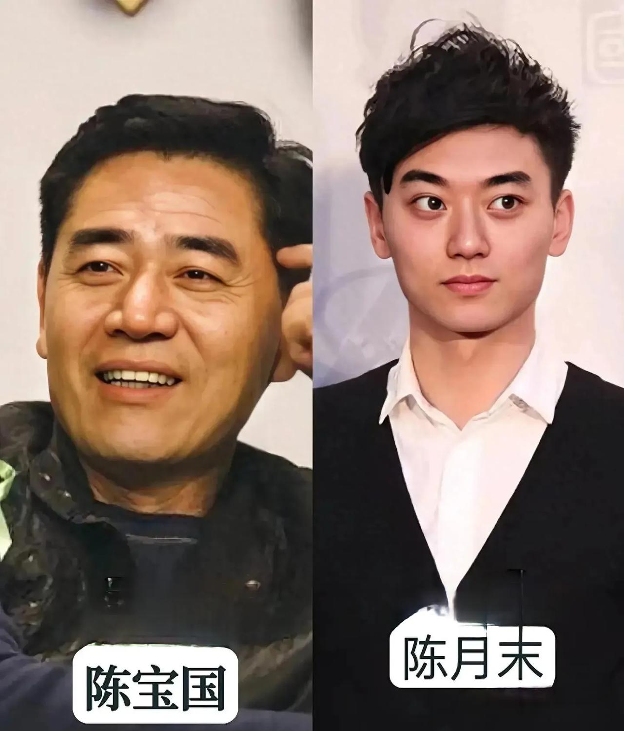 因为喜欢陈宝国，所以就关注他的后代，查了一下，陈宝国和妻子赵奎娥只育有一子叫陈月