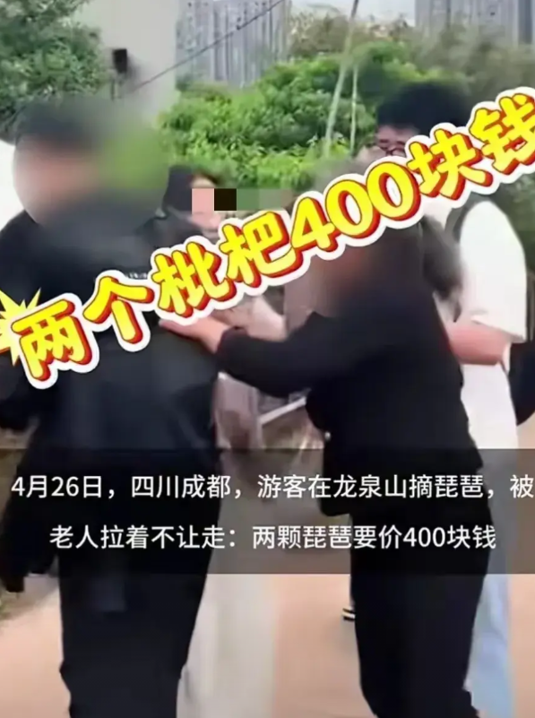 成都龙泉驿这次火了，完全是因为这个老太婆。她发现有游客偷摘她家的枇杷，拉住游客不