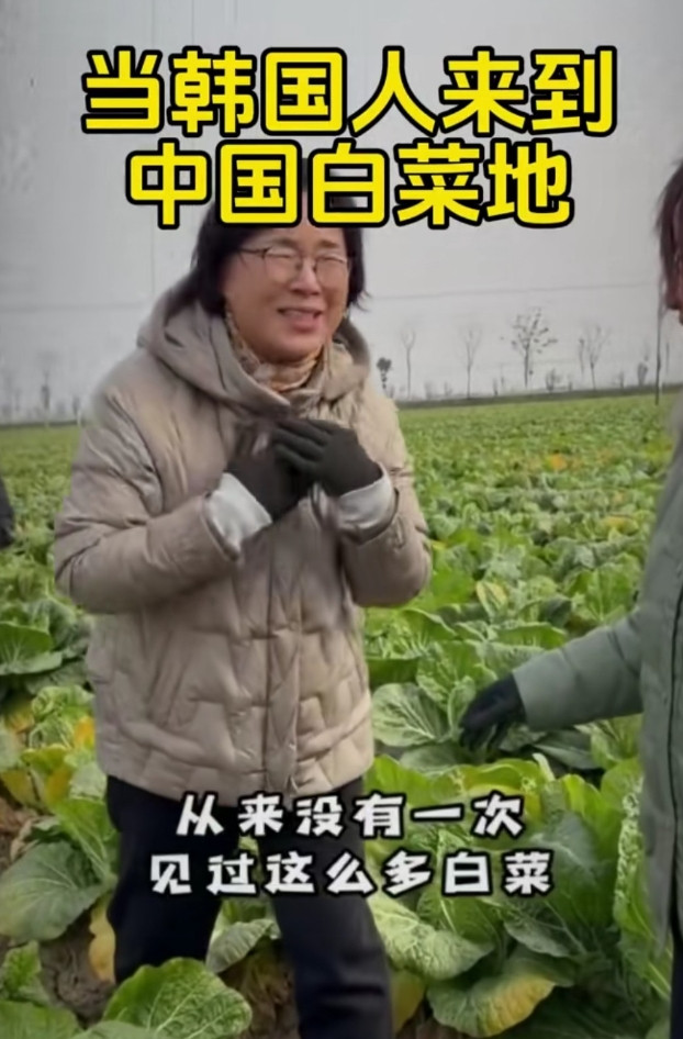 看到韩国人来到中国白菜地，激动到欢呼，但只是喊“我最爱大白菜”。恐怕这也