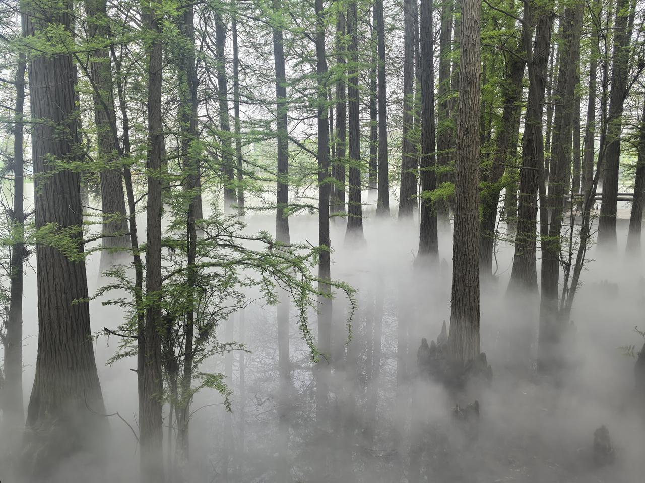 游览落雁岛美景[玫瑰][比心][玫瑰]在武汉东湖景区有个落雁岛，那真是藏在