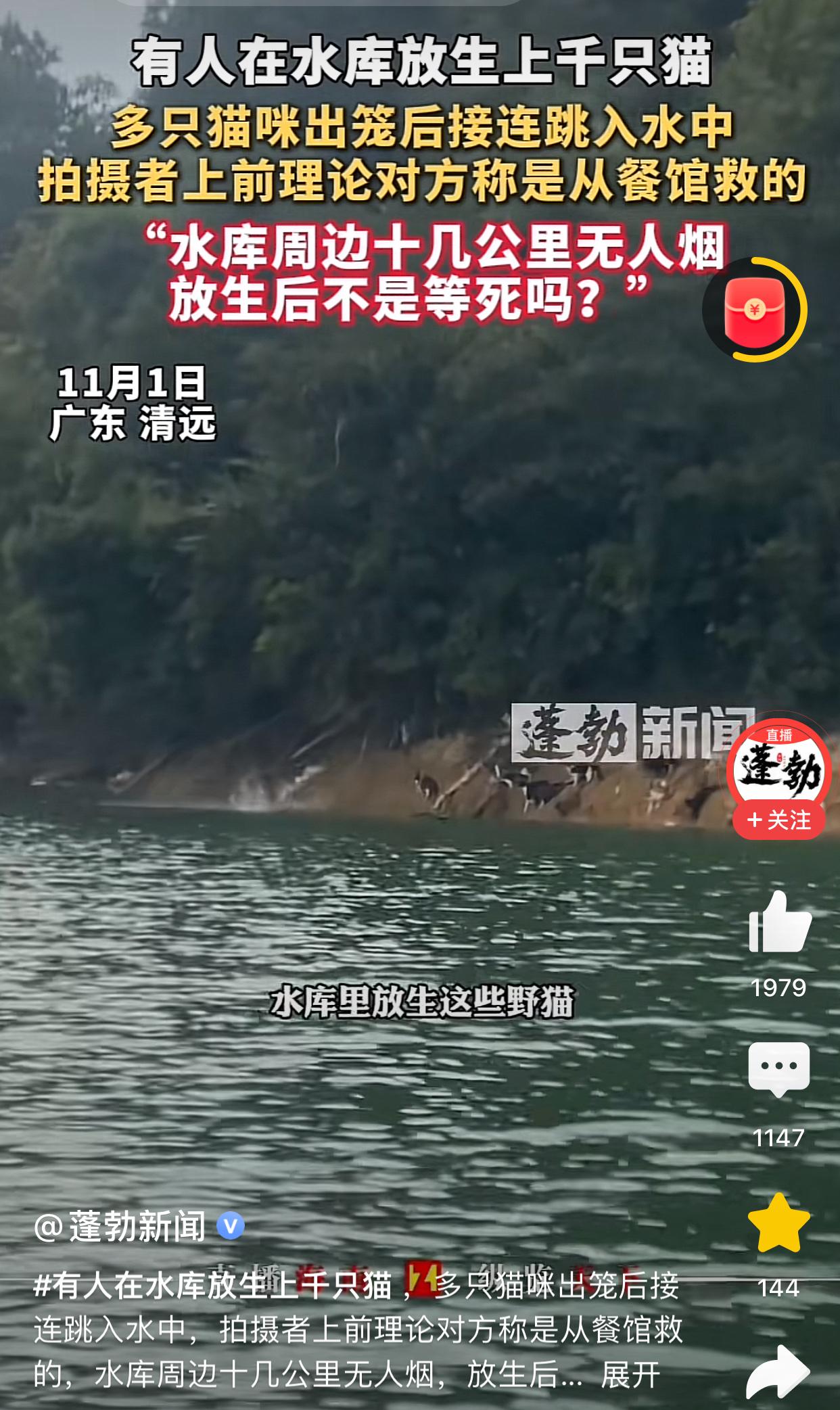 这些人跑到水库旁边放生猫咪，咋想的？猫咪是会游泳，但是那不是强项，听说已经淹死