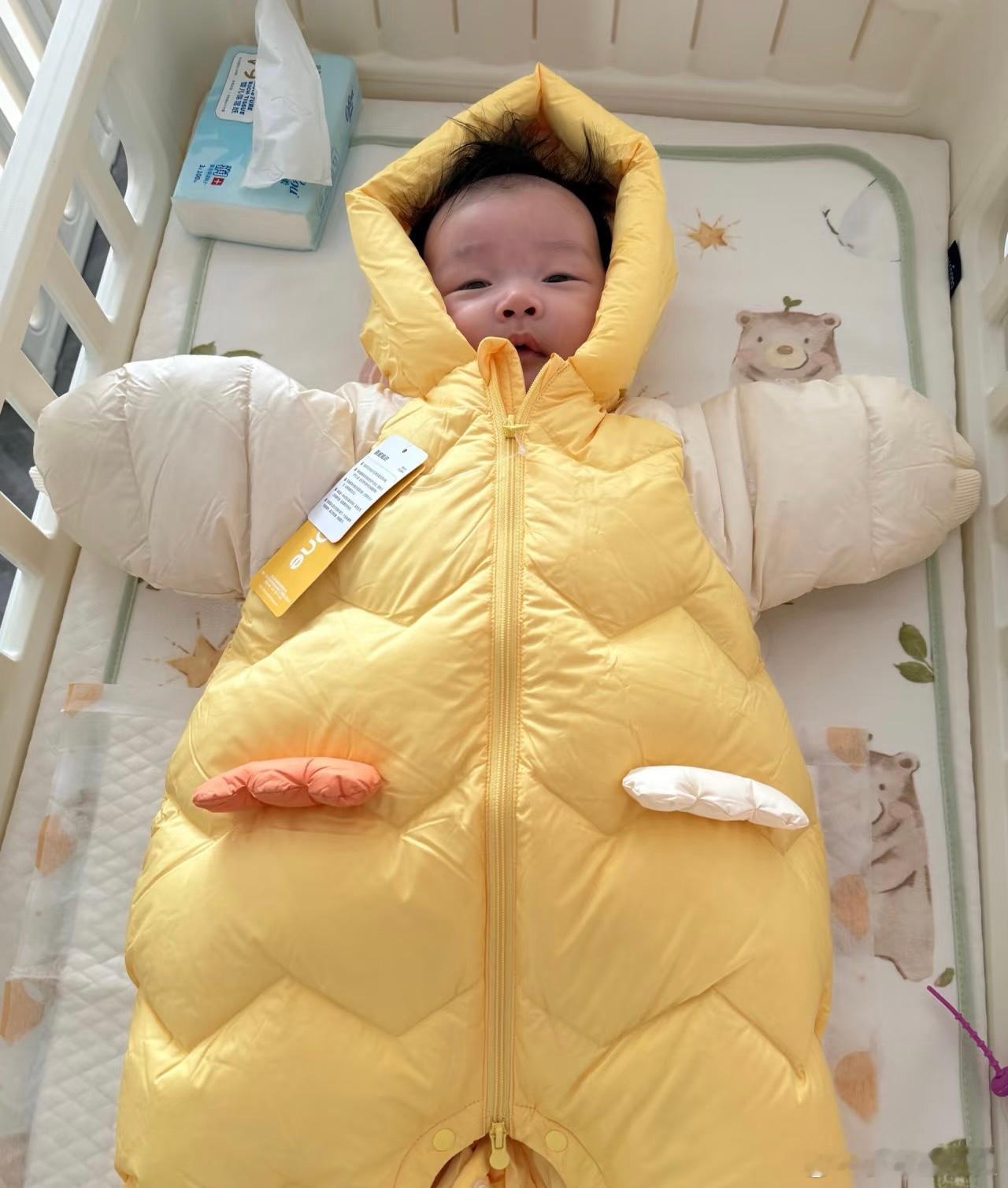 一生贪大的中国妈妈