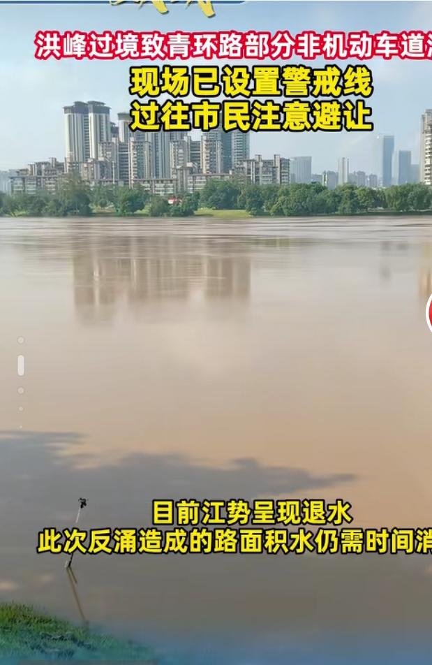 直来洪峰过境南宁在南宁的亭子码头，眼前的景象让人不禁感受到自然的威力与城市的