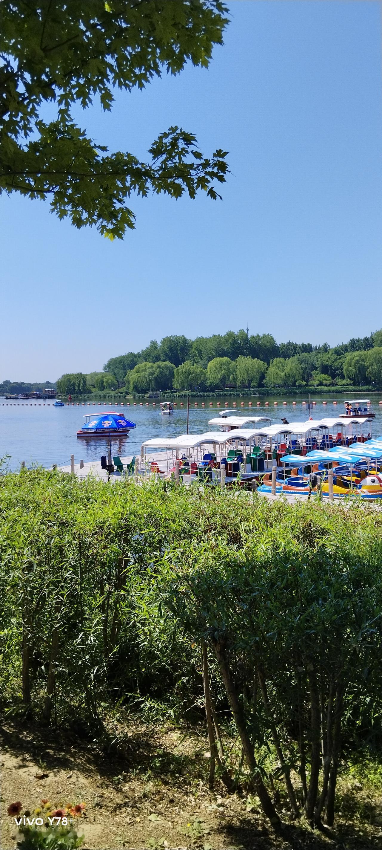 目前，我们这里的乡镇卫生院普遍都发不出工资。有的卫生院已经拖欠了超过一年的工资