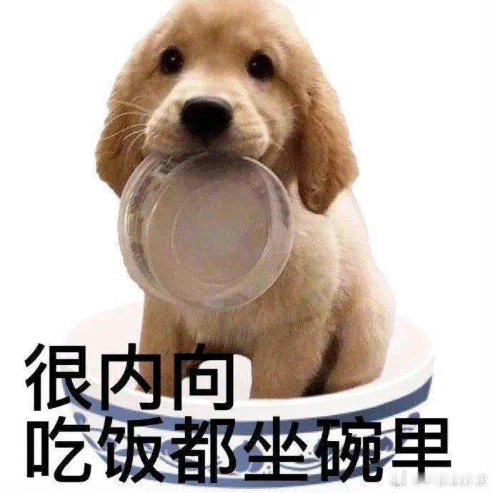 咪明天要去太原出差天气咋样啊​​​