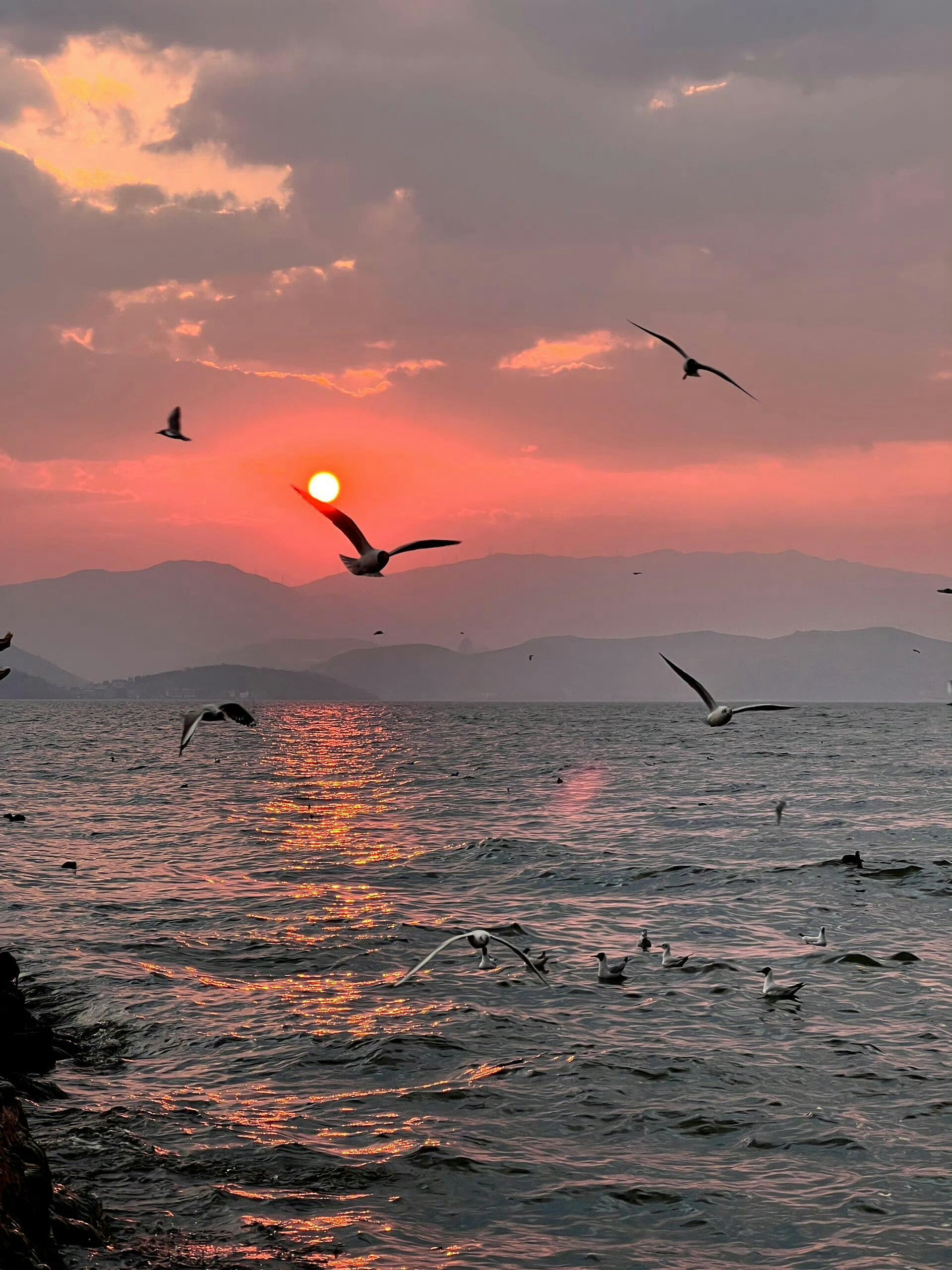 洱海的浪漫​​​