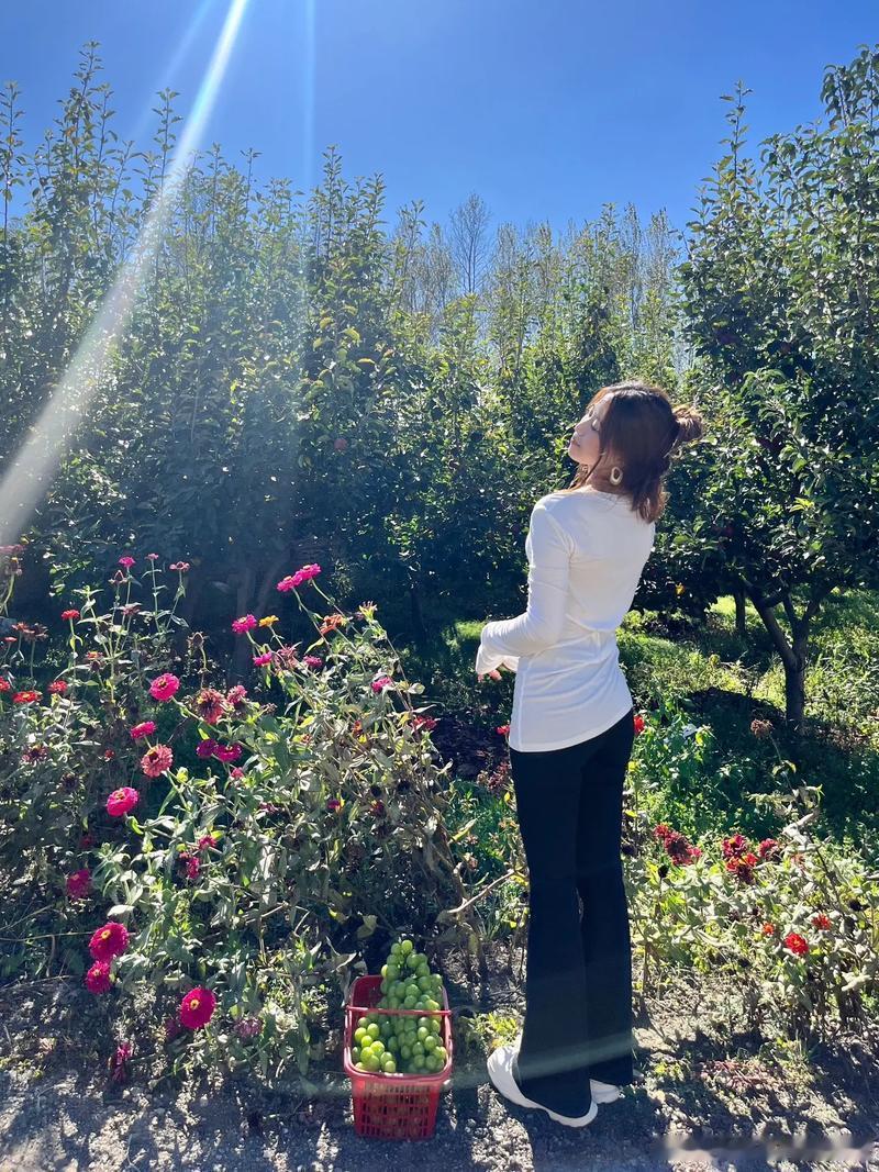 🐯1962年生肖虎，2026年马年运势大揭秘！🐯迈入2026年的马年，对于1