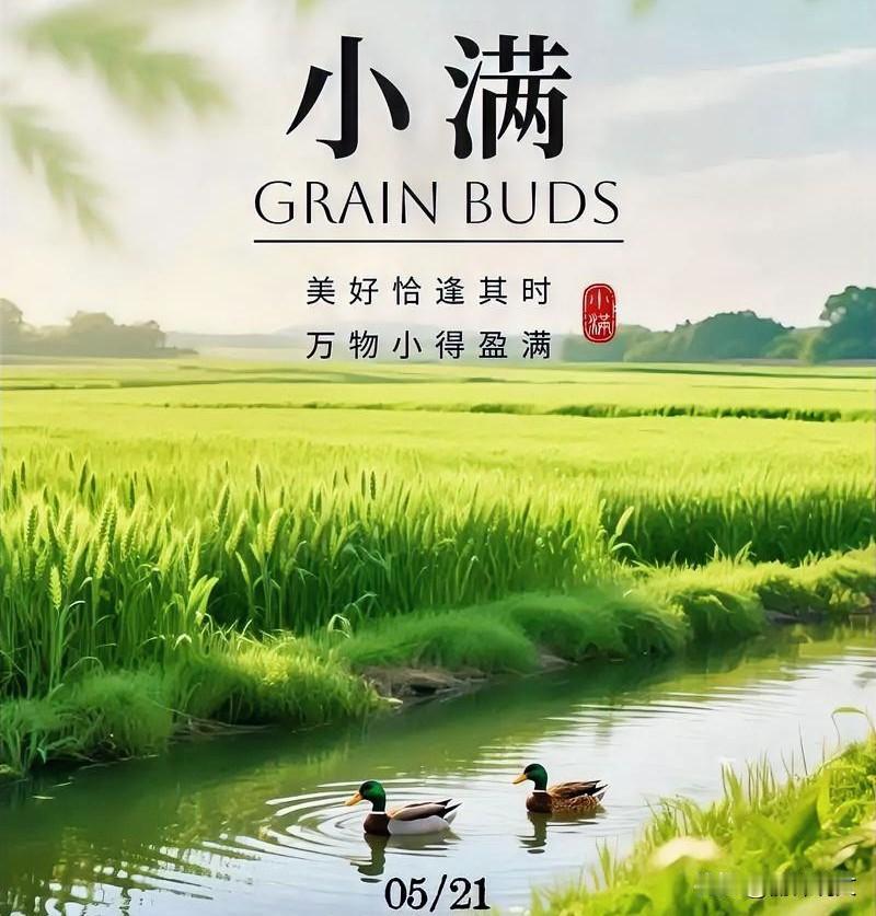 老话流传至今！小满定早晚，今年夏天天气早知道农村流传一句经典农谚：
