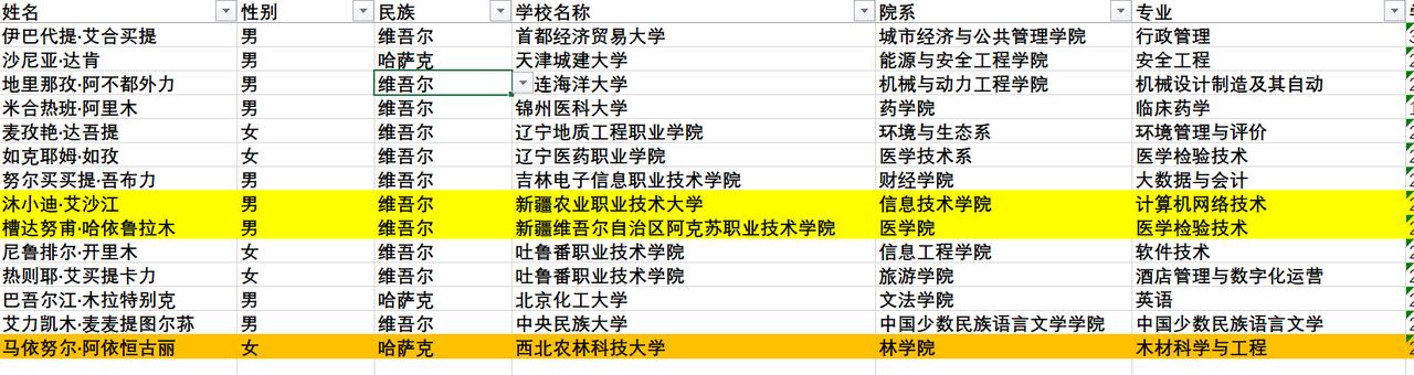 分析2024年维族国奖获得者（94人）的名字，发现3个有意思的名字：①维吾尔