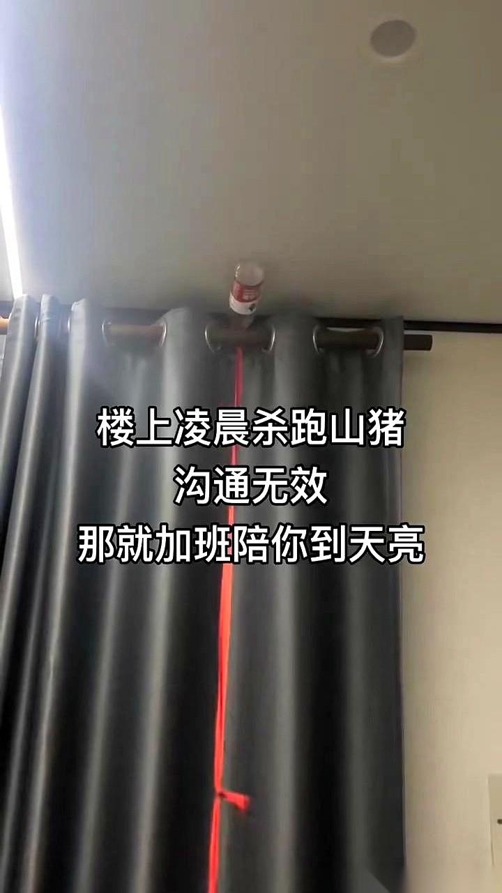 凌晨两点，我床头柜上的水杯，又开始嗡嗡作响。楼上那颗珠子，准时掉在了地上，弹了