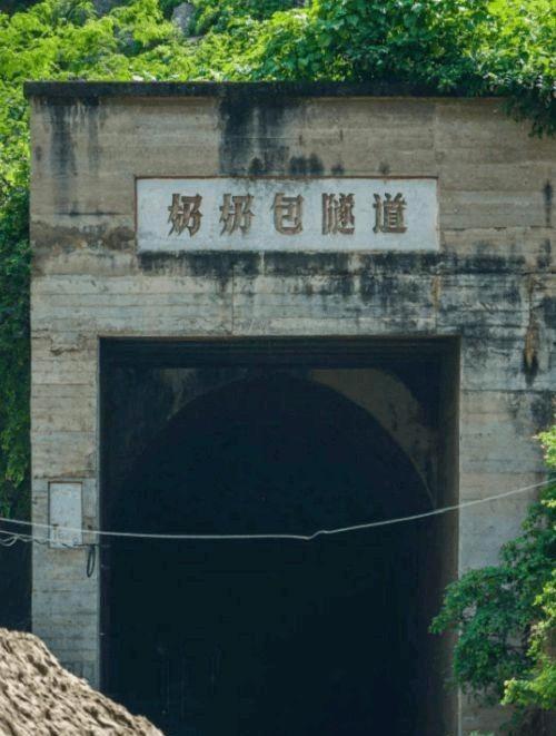 一九八一年，列车员王明儒开着442次列车照常行驶在轨道上，深夜里万籁俱寂，乘客们