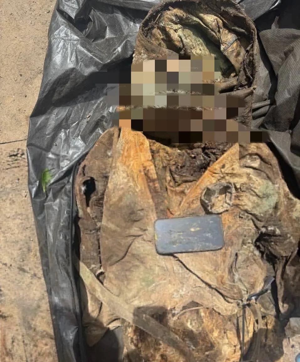 说谢谢！俄罗斯通过DNA技术帮助法国和波兰找到了早就被俄军打死的一对“野鸳鸯雇佣