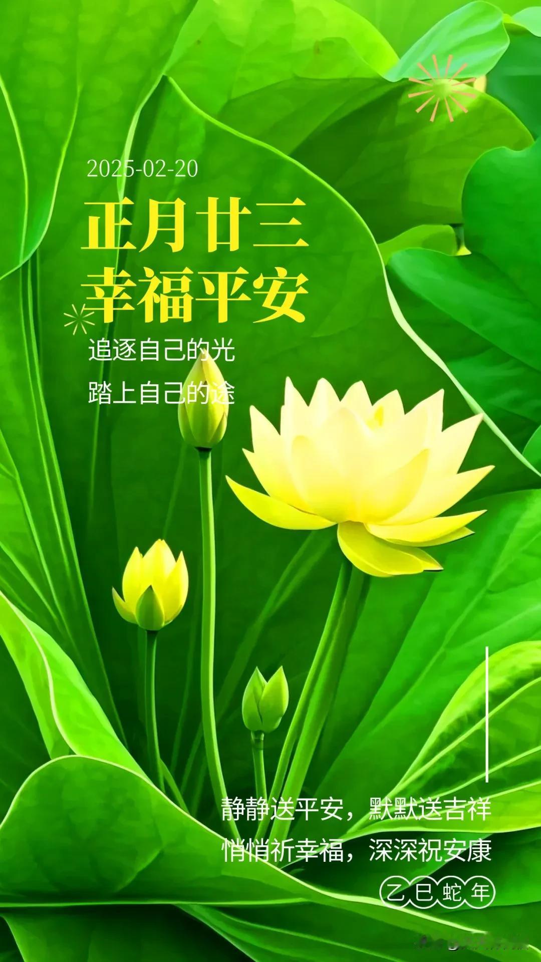 正月廿三，早上好阳光问候：静静送平安，默默送吉祥，悄悄祈幸福，深深祝安康！做