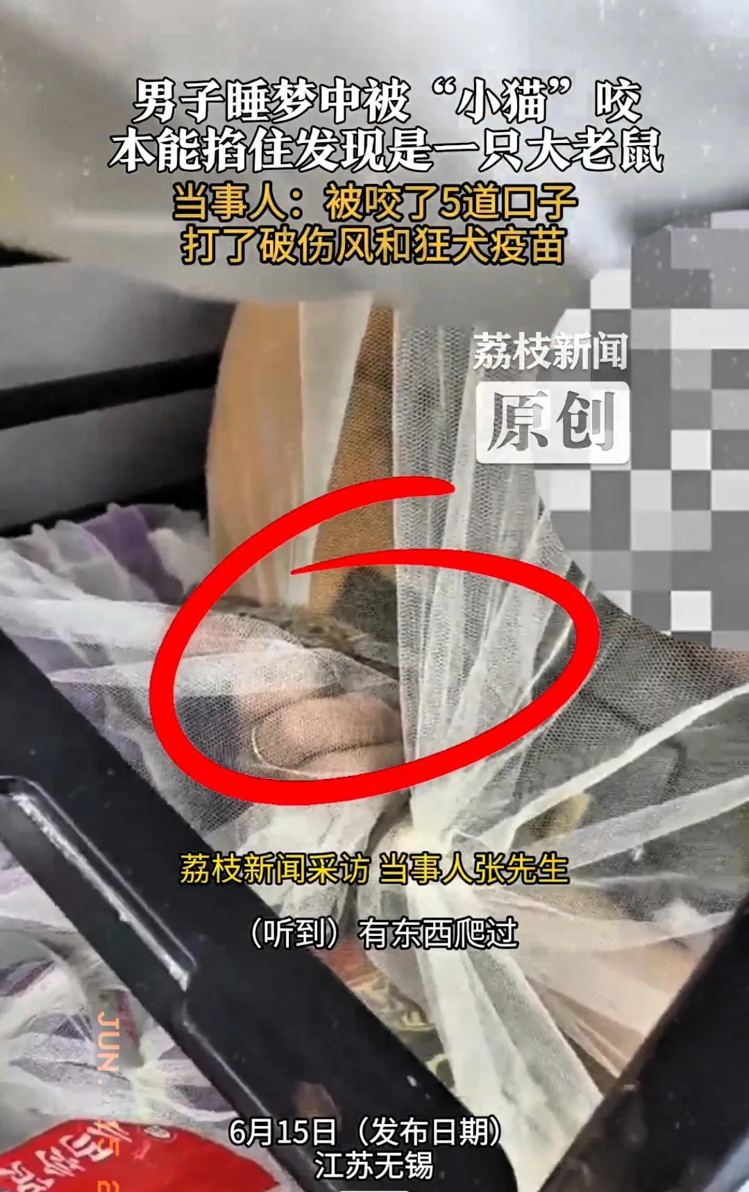 “太后怕了！”江苏无锡，一男子睡梦中感觉手边有什么东西爬过，毛绒绒的，他以为是家