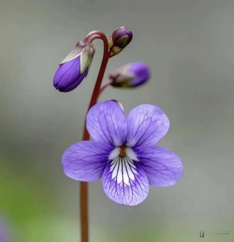 一位知名经济学家说：作为金融业老法师，根据我几十年经验，抓住AI科技牛，我唯一给