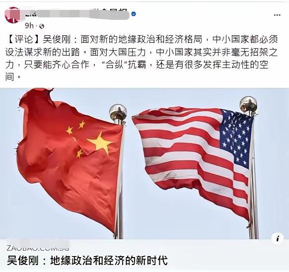 新加坡某报资深特约评论员、前议员吴俊刚竟然妄称：合纵抗霸。不明所以的人，可能觉