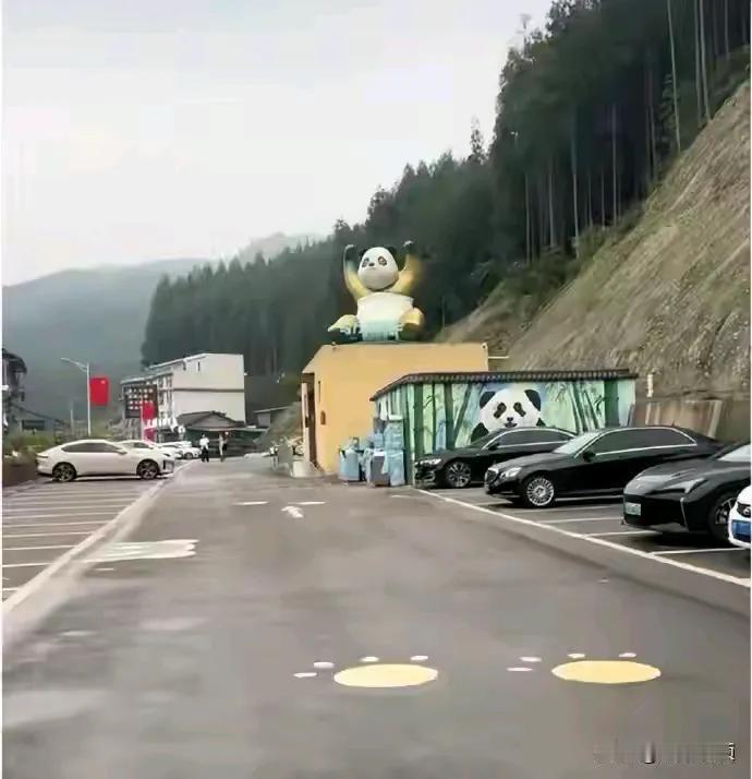男子称停车不到5小时，要付21474836元停车费！“目前不敢取车”，眉山市洪雅