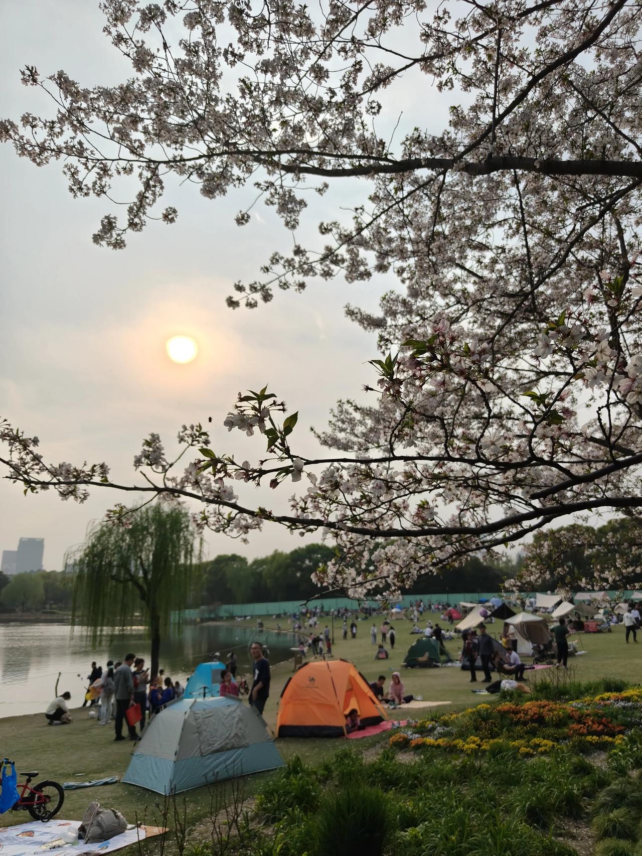夕阳西下的景色，真的太让人着迷了！