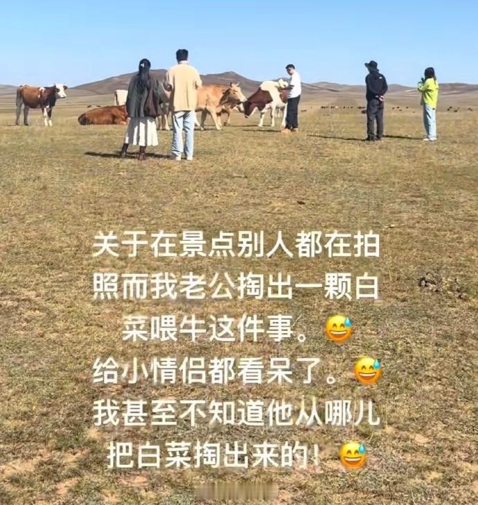 打开评论区你会看到一本《我不是挑事的人》🤣👌​​​