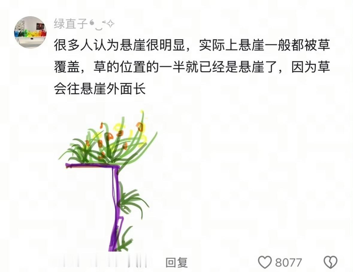在冷知识这块中国网友真的没有对手