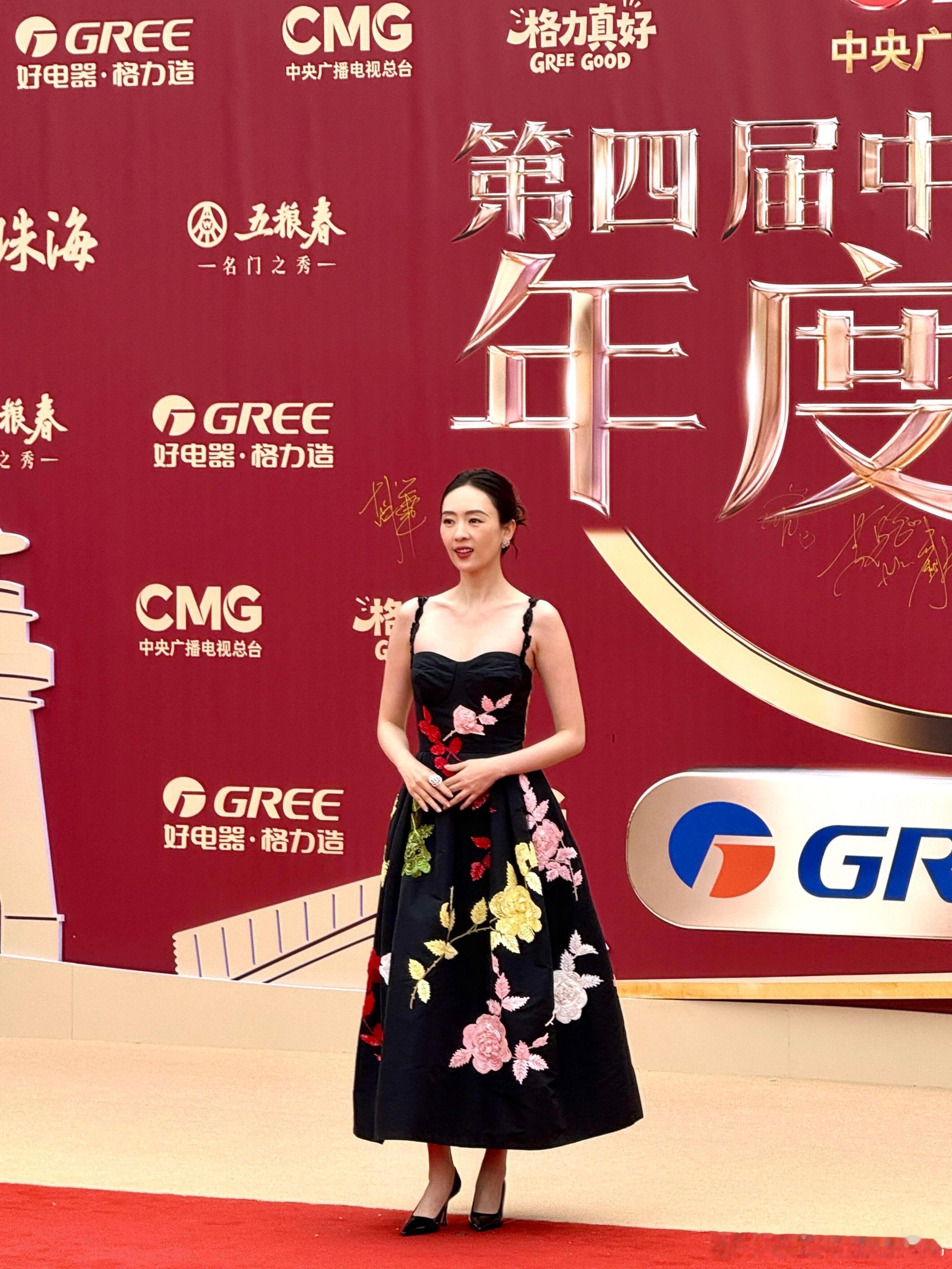 中国电视剧年度盛典红毯生图🈶张鲁一、高圆圆、孙俪、颖儿、蓝盈莹、刑菲、魏晨、董