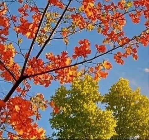 生活不论好坏，每天都是限量版，永远乐观自信，永远积极向上，别让世俗，淹没了生活的